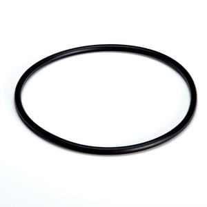 O-Ring, Filter Canister O-Ring, 173mm OD O-Ring, Filter Canister O-Ring, 173mm OD